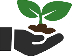 Eco-Friendly Solutions